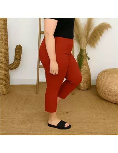 R273- Tregging Christy (T42-T52) (rouille)