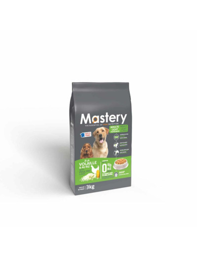 Mastery chien light