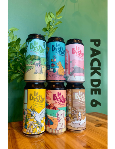 Pack 6 Canettes 44cl