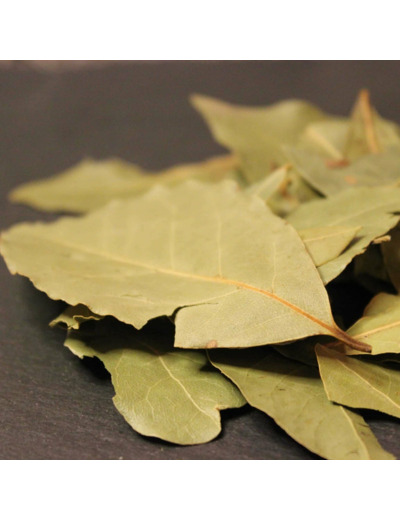 Feuilles de laurier
