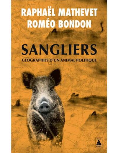 SANGLIERS, GEOGRAPHIES D'UN ANIMAL POLITIQUE