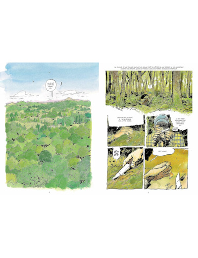 LA VIE SECRETE DES ARBRES EN BD