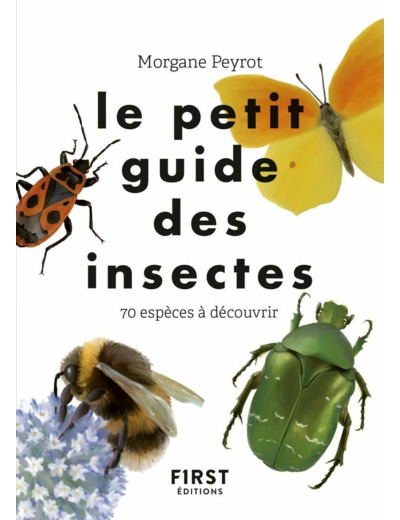 LE PETIT GUIDE DES INSECTES