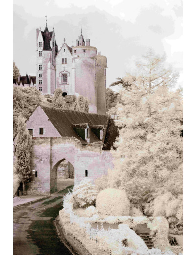 Château de Montreuil-Bellay