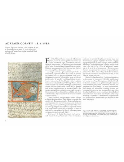 CARNETS DE MARINS