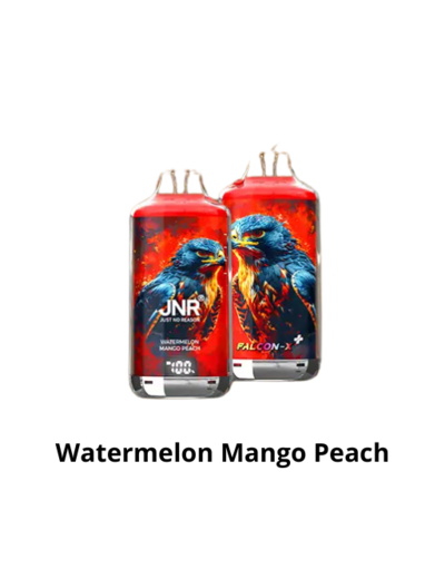 Puff 28k - JNR Falcon X + - Watermelon Mango Peach