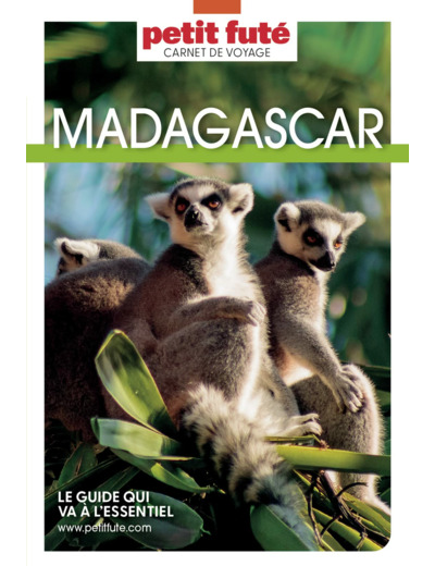 GUIDE MADAGASCAR 2022 CARNET PETIT FUTE