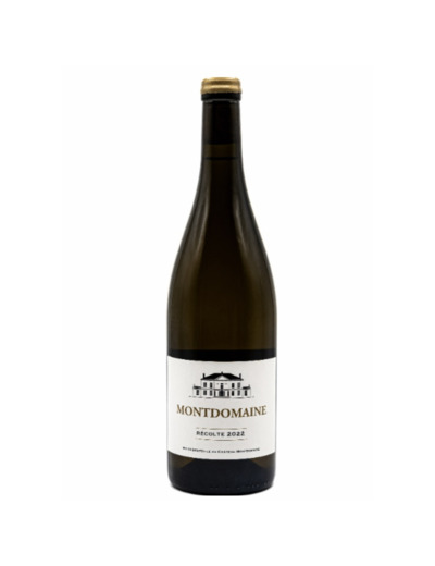 CHENIN BLANC TOURAINE AMBOISE DOMAINE MONTDOMAINE 2022