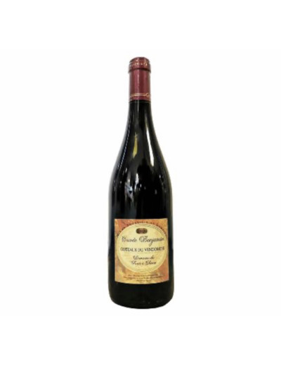 CÔTEAUX DU VENDÔMOIS AOP ROUGE "BENJAMIN" DOMAINE DU FOUR A CHAUX
