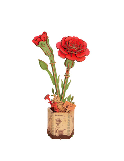 Oeillet Rouge en Bois