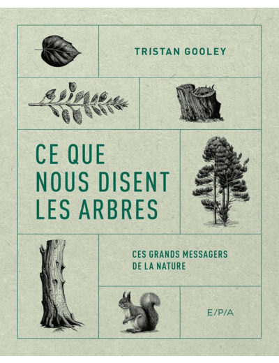 CE QUE NOUS DISENT LES ARBRES - CES GRANDS MESSAGERS DE LA NATURE