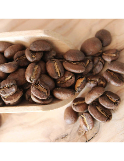 Honduras Capucas BIO - Grains entier