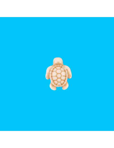Charms - Tortue blanche - De Nada Paris