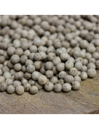 Poivre blanc Antalaha