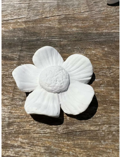 Fleur à parfumer