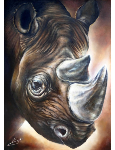 Rhinocéros noir