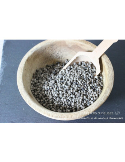 Poivre des moines - Baies de Gattilier