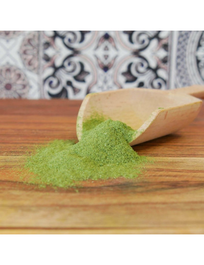 Moringa Oleifera