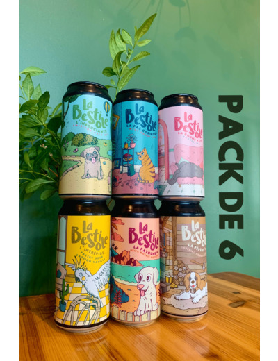 Pack 6 canettes 44cl