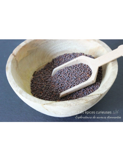 Graines de moutarde noire