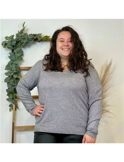 Y259- Pull Laine Cachemire "Tricotonic" (les T34&48) (gris)