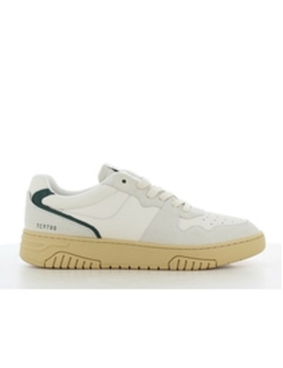 Low Sneakers - White/Green - SJ