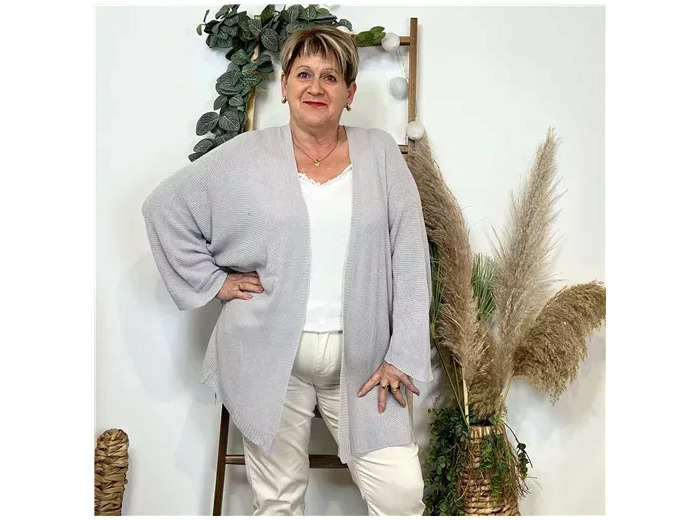 Z164- Gilet Maille Nid d abeille (Gt) (gris clair)