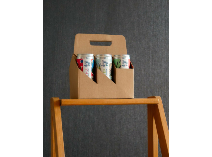 Pack 6 kombuchas BIO