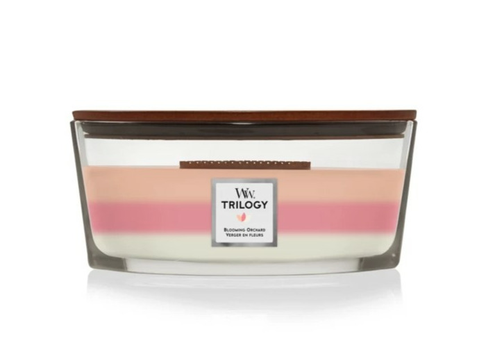 Bougie Ellipse Trilogy - VERGER EN FLEURS