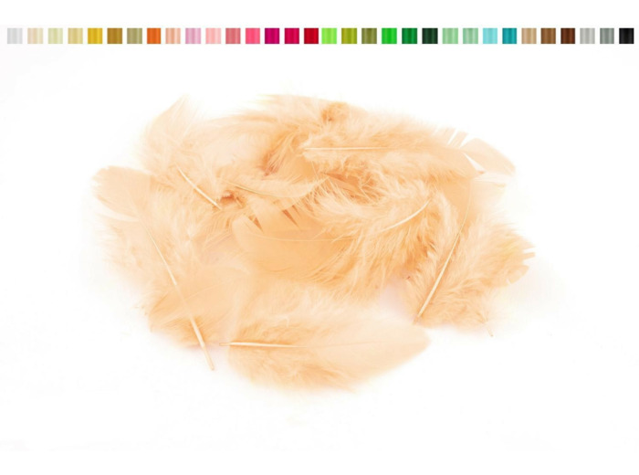 Plumes 6-10 cm abricot 714