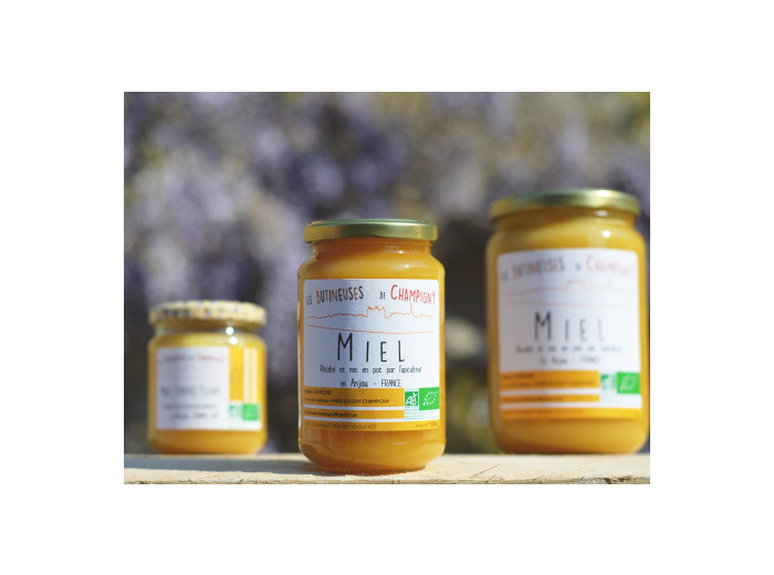 Miel toutes fleurs d'été bio - 500 g