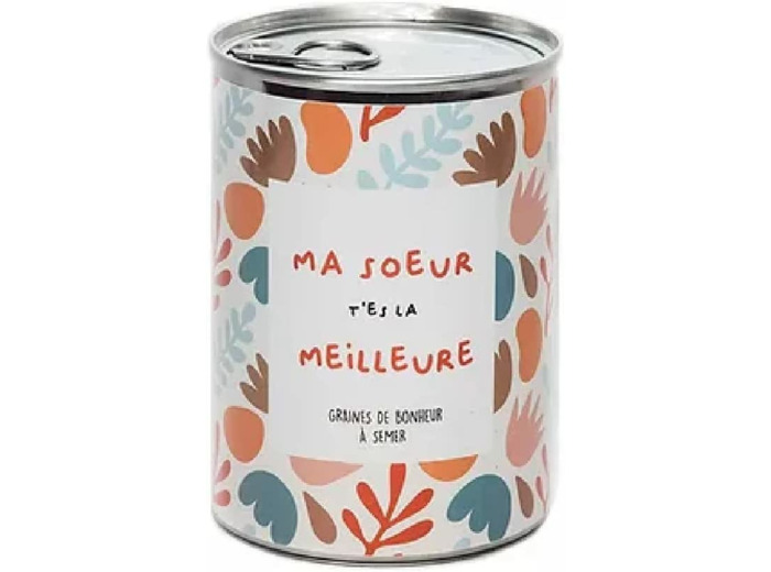 MA SOEUR T'ES LA MEILLEUR