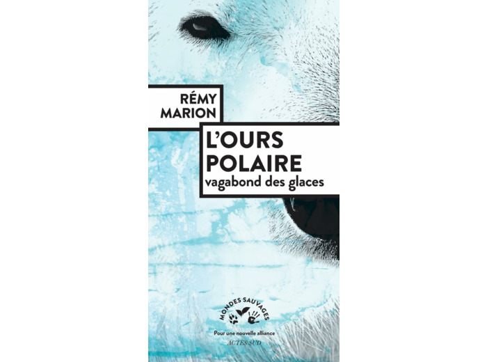 L'OURS POLAIRE, VAGABOND DES GLACES