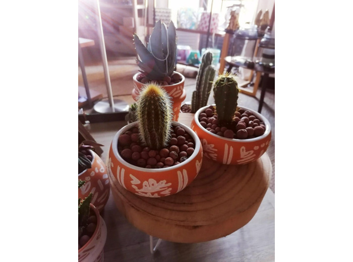 Cache-pot à succulente - bas