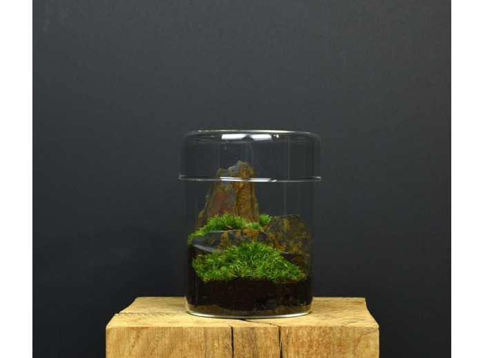 TERRARIUM ZAŌ
