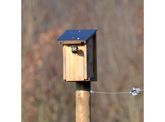NICHOIR A MESANGE MONTE, TOIT ARDOISE