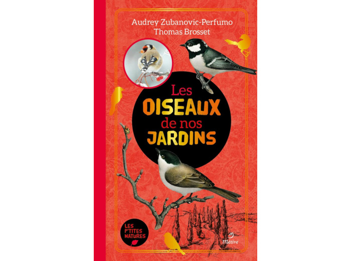 LES OISEAUX DE NOS JARDINS
