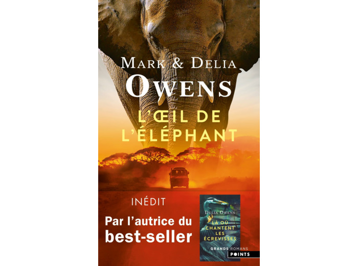 L'OEIL DE L'ELEPHANT