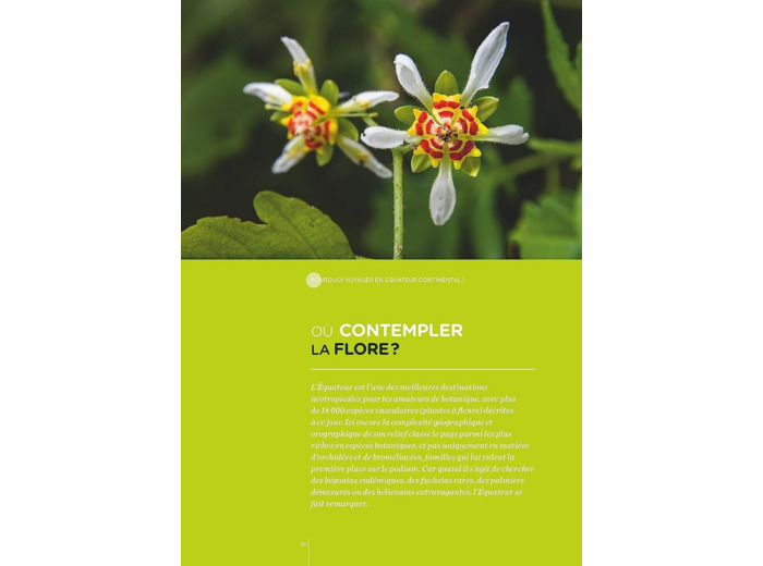 EQUATEUR - LES CLES POUR BIEN VOYAGER - GALAPAGOS