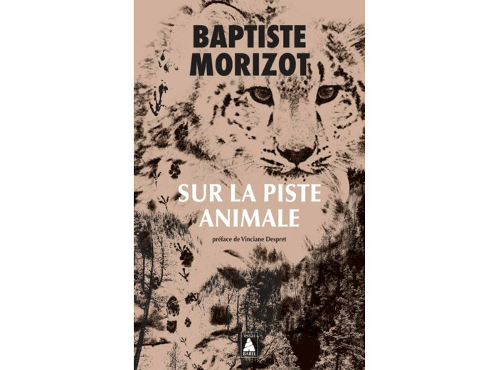 SUR LA PISTE ANIMALE
