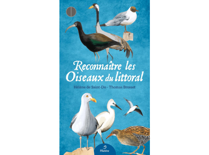 RECONNAITRE LES OISEAUX DU LITTORAL