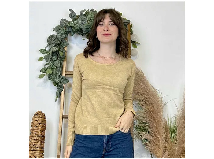 Y374- Pull Épais sans laine «Voggo» (T36-T48) (taupe)