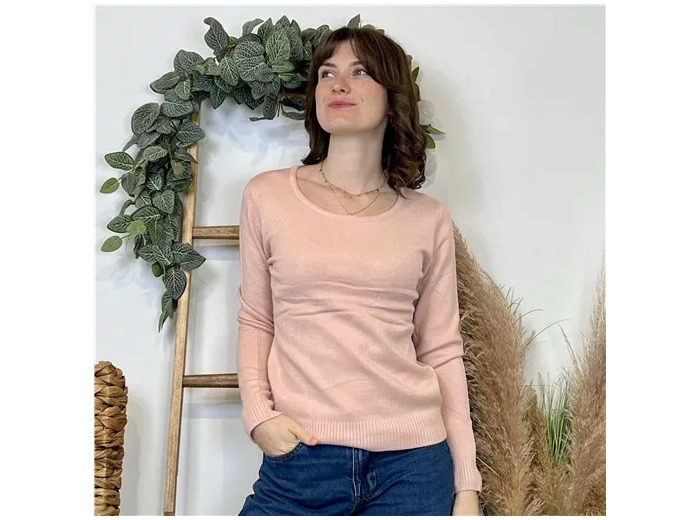 Y374- Pull Épais sans laine «Voggo» (T36-T48) (rose poudré)