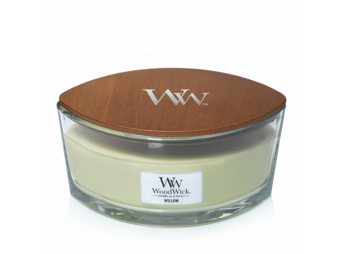 Bougie Ellipse - SAULE / WILLOW