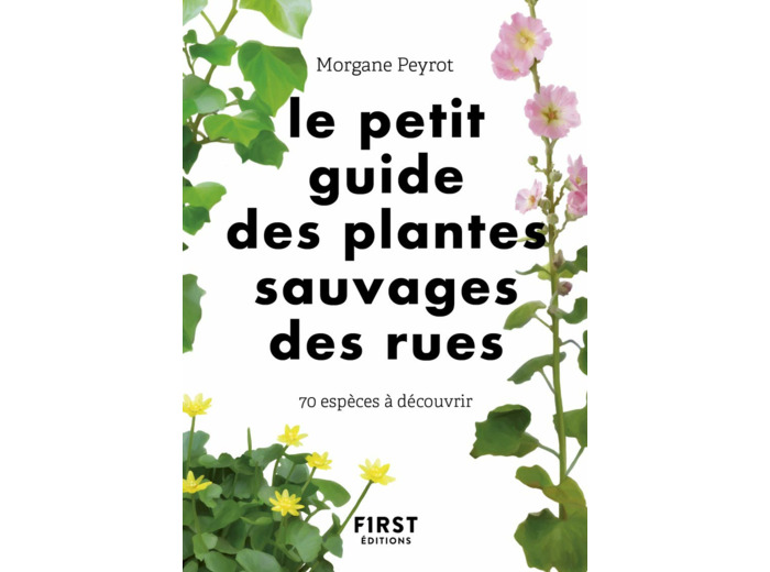 LE PETIT GUIDE DES PLANTES SAUVAGES DES RUES - 70 ESPECES A DECOUVRIR