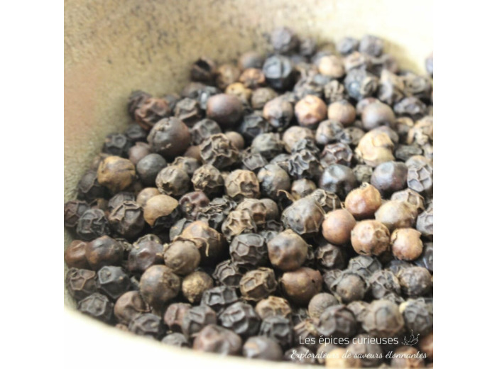 Poivre indien des montagnes