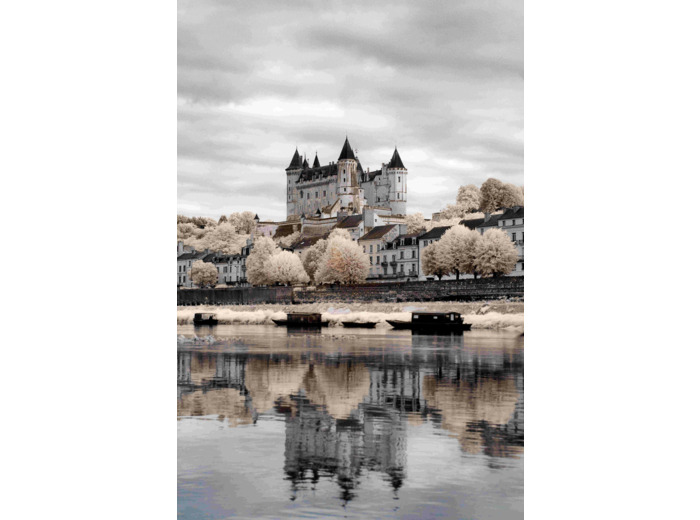 Château de Saumur