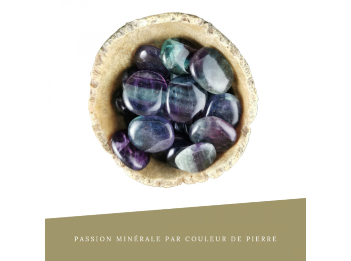 Fluorine Arc en ciel