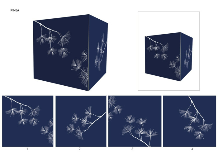 BAC IS BACK PINEA - 30cm x 30cm x 30cm - 4kg