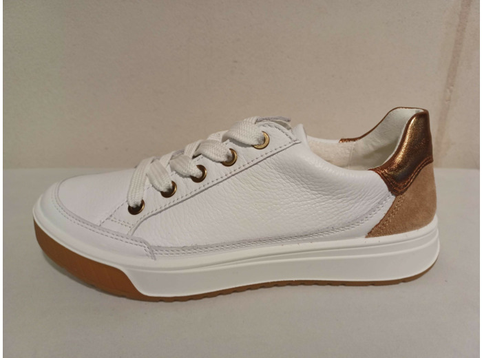 ARA 50004 B